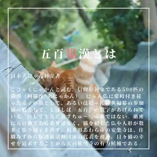 天王山 安楽寺(福井県)