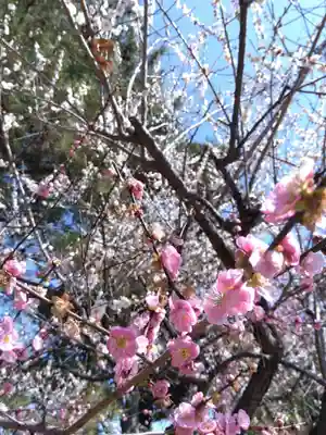 本居宣長ノ宮(三重県)