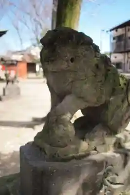 青渭神社の狛犬