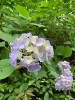 頼光寺(兵庫県)