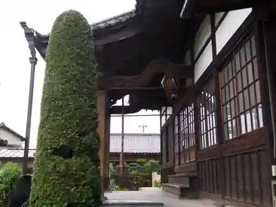 観音寺のその他建物