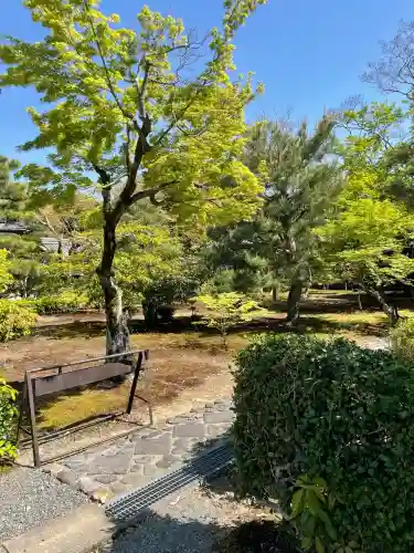 真如寺(京都府)