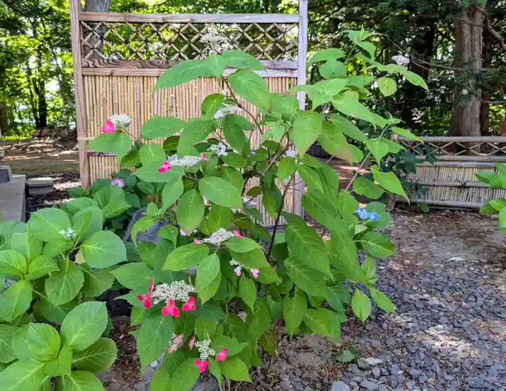 厚別神社(北海道)