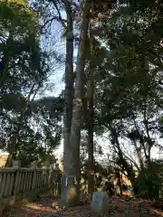 岩壺神社の自然