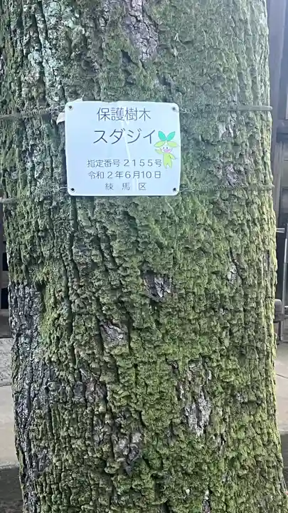 竹下稲荷神社(東京都)