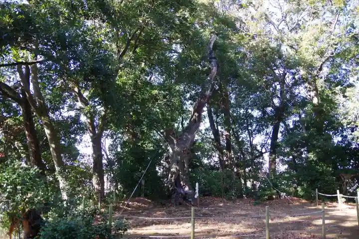 素鵞神社の自然