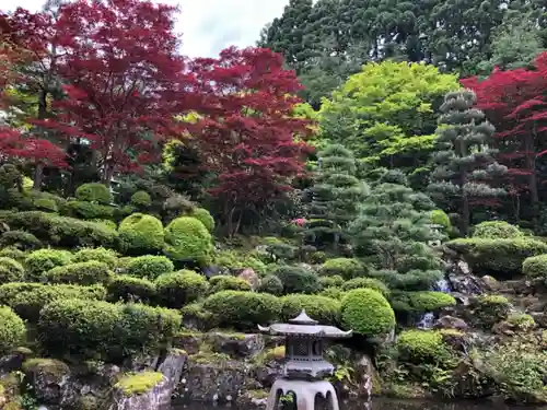 護国寺の庭園