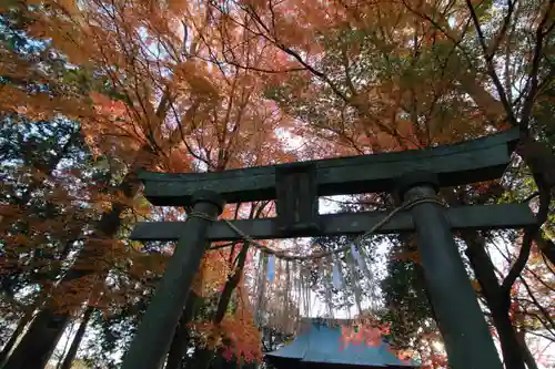 國祖神社の鳥居