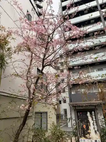 正寶院（飛不動尊）の{uncategorized: "未分類", other: "その他", undefined: "問題あり", building: "その他建物", grave: "お墓", sacred_gate: "鳥居", guardian: "狛犬", statue: "像", buddha: "仏像", history: "歴史", nature: "自然", garden: "庭園", animal: "動物", pagoda: "塔", temizu: "手水舎", mountain_gate: "山門・神門", sanctuary: "本殿・本堂", subordinate: "末社・摂社", art: "芸術", scenery: "景色", jizo: "地蔵", ema: "絵馬", goshuin: "御朱印", omikuji: "おみくじ", items: "授与品その他", amulet: "お守り", goshuincho: "御朱印帳", eats: "食事", festival: "お祭り", votive_dance: "神楽", shichigosan: "七五三参", wedding: "結婚式", experience: "体験その他", initially: "初詣", around: "周辺", anti_infection: "感染症対策"}