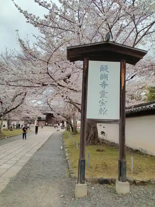 醍醐寺(京都府)