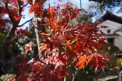 豊景神社の自然