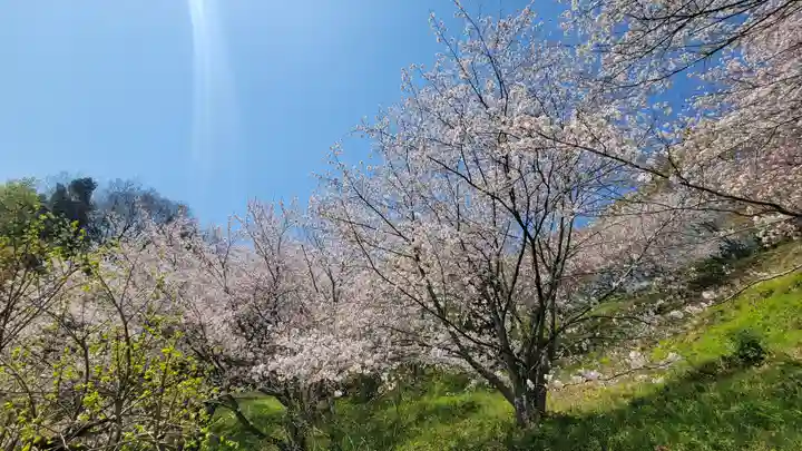 木野山神社(愛媛県)