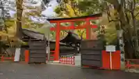 河合神社(鴨川合坐小社宅神社)(京都府)
