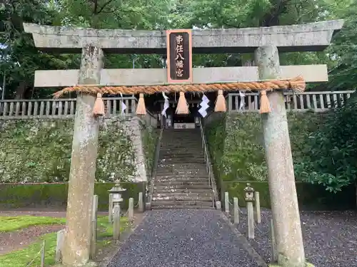 事任八幡宮の鳥居