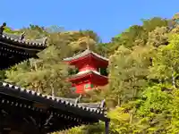 今熊野観音寺(京都府)