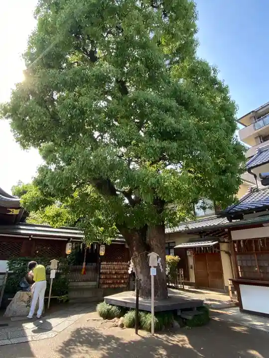 晴明神社(京都府)