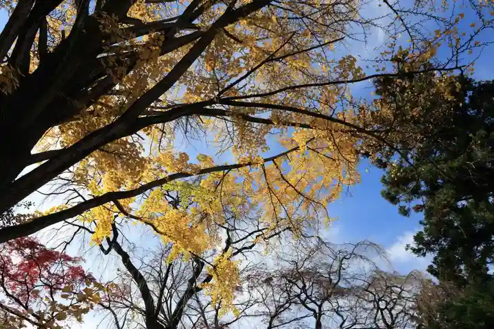 神炊館神社 ⁂奥州須賀川総鎮守⁂の景色