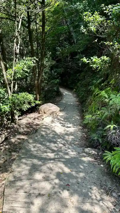 大聖院弥山本堂(広島県)