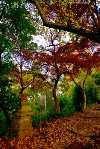 高幡不動尊　金剛寺(東京都)