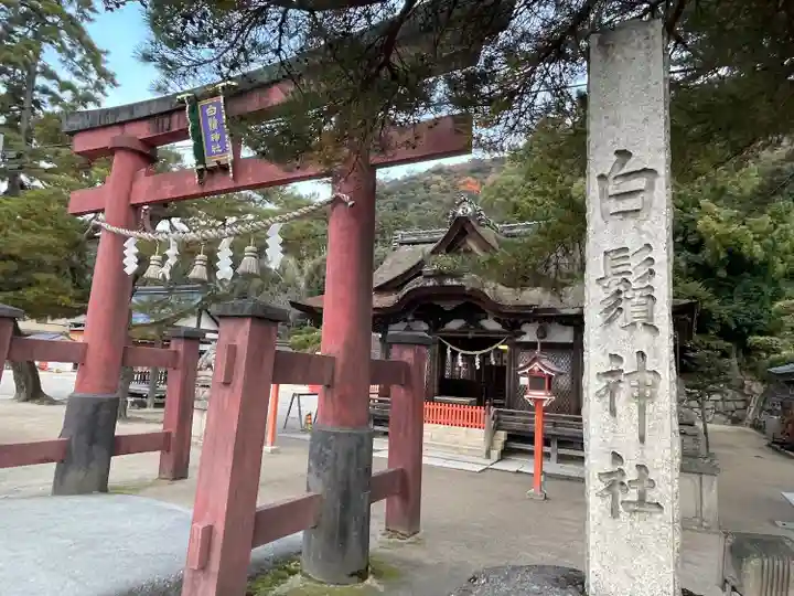白鬚神社(滋賀県)