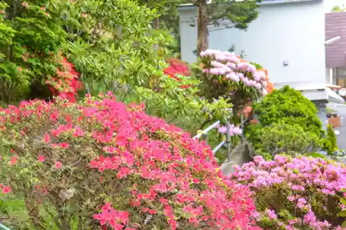 尻岸内八幡神社の自然