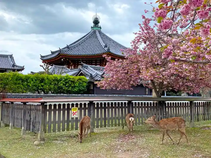 興福寺 南円堂のその他建物
