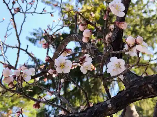 上川神社の自然