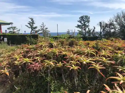 牟婁大辯才天の庭園