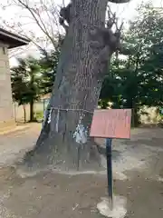 素鵞神社(茨城県)