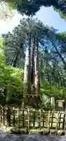 御岩神社の自然