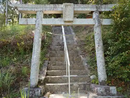 津島神社の鳥居