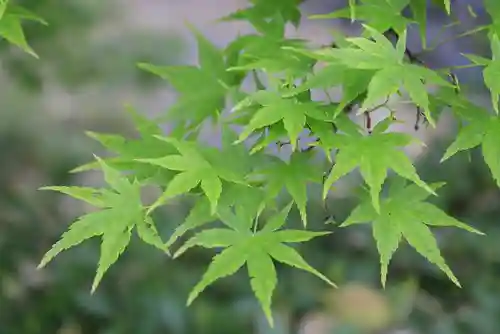 乙訓寺(京都府)