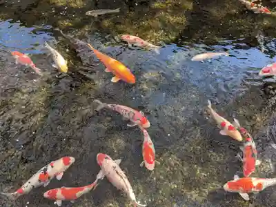 鹿の井出水 水神様(香川県)