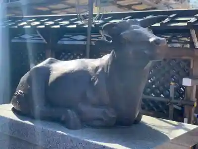 湯島天満宮の狛犬