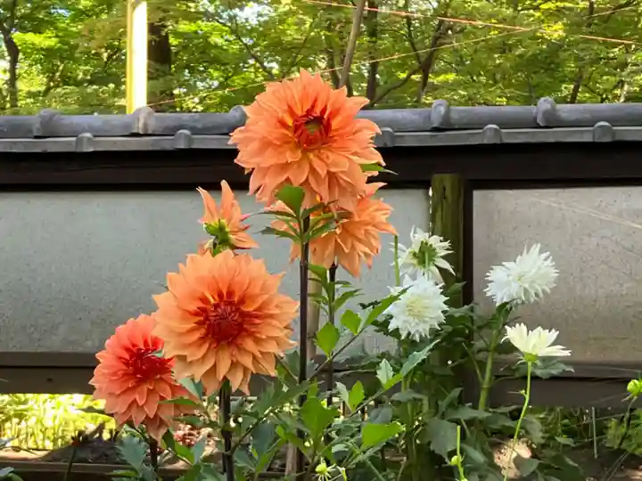 上野東照宮(東京都)