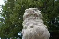 福島稲荷神社の狛犬