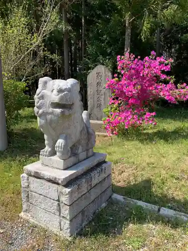 白山神社の狛犬