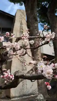 霊光殿天満宮(京都府)