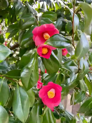 花園神社(東京都)
