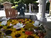 立志神社の手水舎