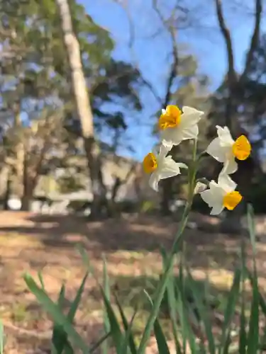 根来寺の{uncategorized: "未分類", other: "その他", undefined: "問題あり", building: "その他建物", grave: "お墓", sacred_gate: "鳥居", guardian: "狛犬", statue: "像", buddha: "仏像", history: "歴史", nature: "自然", garden: "庭園", animal: "動物", pagoda: "塔", temizu: "手水舎", mountain_gate: "山門・神門", sanctuary: "本殿・本堂", subordinate: "末社・摂社", art: "芸術", scenery: "景色", jizo: "地蔵", ema: "絵馬", goshuin: "御朱印", omikuji: "おみくじ", items: "授与品その他", amulet: "お守り", goshuincho: "御朱印帳", eats: "食事", festival: "お祭り", votive_dance: "神楽", shichigosan: "七五三参", wedding: "結婚式", experience: "体験その他", initially: "初詣", around: "周辺", anti_infection: "感染症対策"}