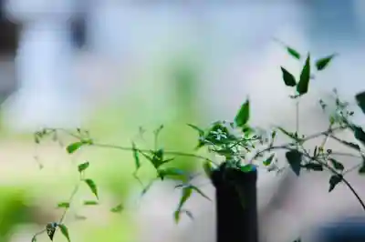 浄土寺(兵庫県)