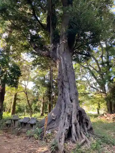 星宮神社の自然