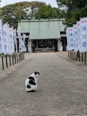 鎌数伊勢大神宮(千葉県)