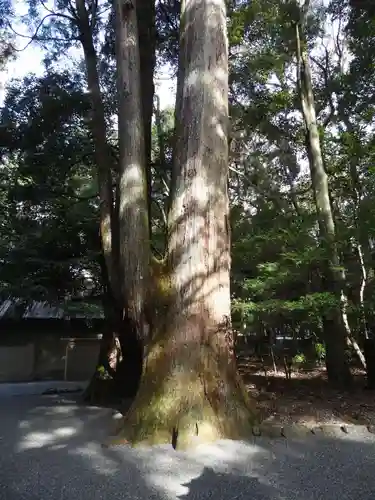 伊勢神宮外宮（豊受大神宮）(三重県)