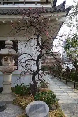 太融寺のその他建物