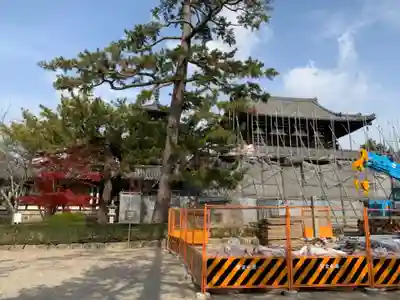 法隆寺の本殿・本堂