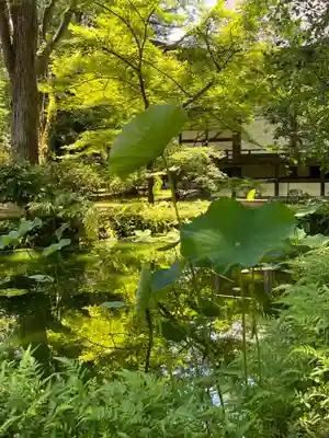 廣隆寺(京都府)