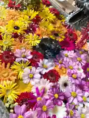 札幌諏訪神社の手水