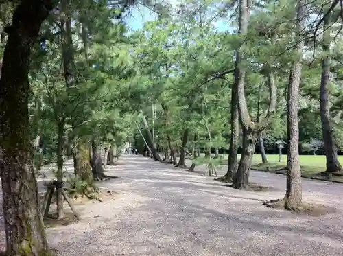 出雲大社の自然